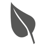 Freshness leaf icon